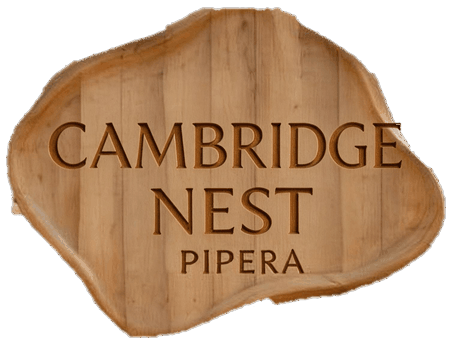 Cambridge Nest wooden sign